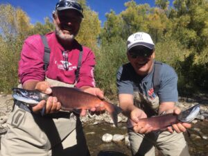 Salmon Run, Gunnison River, Colorado Fly Fishing, Kokanee 