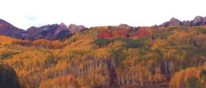 Crested Butte Fall Colors,